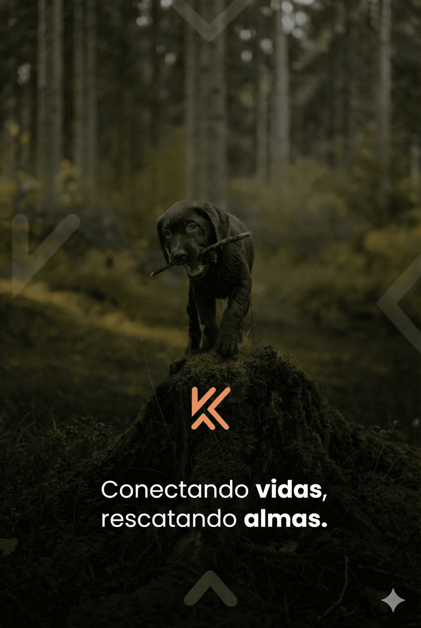 KADESH - Conectando vidas, rescatando almas